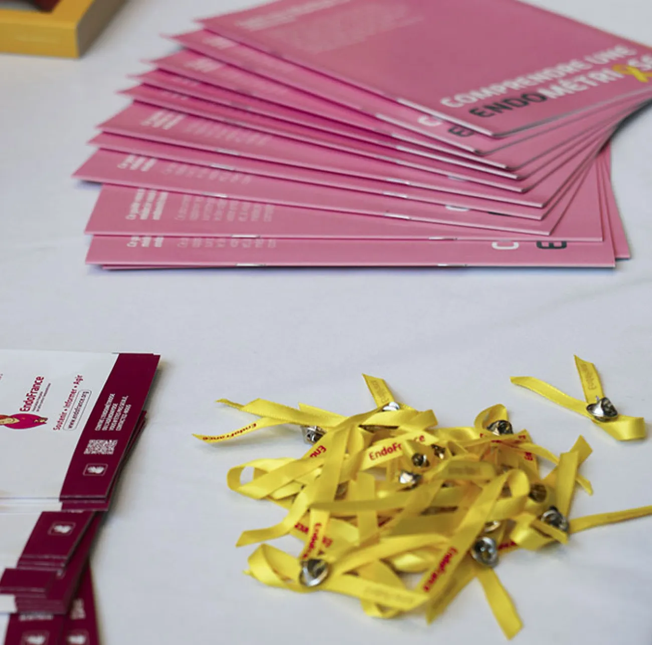 Digital Campus à Toulouse s’engage avec EndoFrance